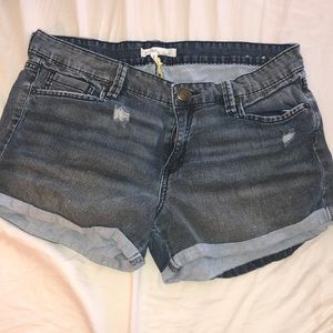BCBG Generation Denim Shorts